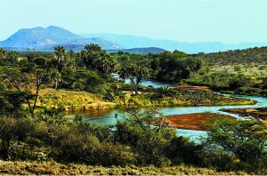 Sarova-Shaba-Safari