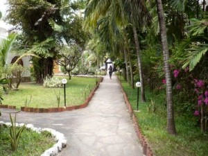 Short Walk to the Indian Ocean